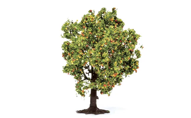 Apfelbaum (mit Frucht)