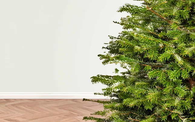 The Coca-Cola Christmas Train Set with Christmas tree