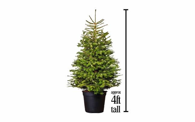 High Speed Train Set with Christmas tree