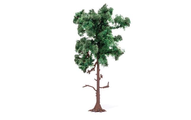Medium Pine Tree