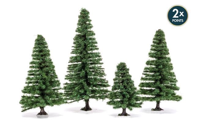 Small Fir Trees