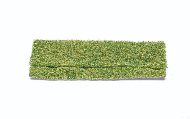 Foliage Wild Grass
