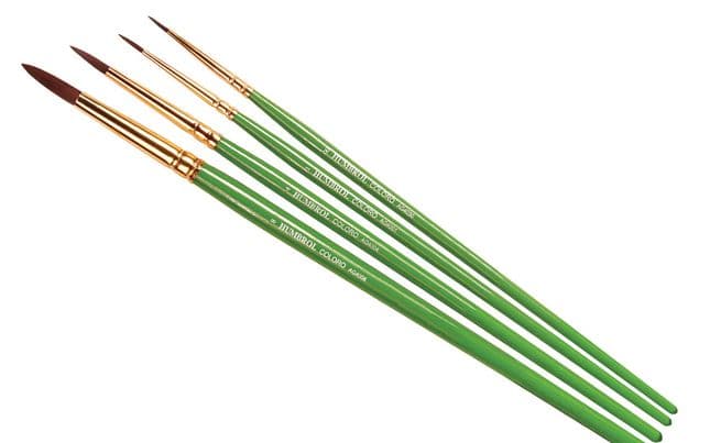 Coloro Brush Pack - (Sizes: 00/1/4/8)