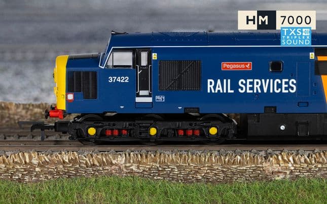 RailRoad: Rail Services - Class 37 - 'Pegasus' 37422 (DCC Sound Fitted)