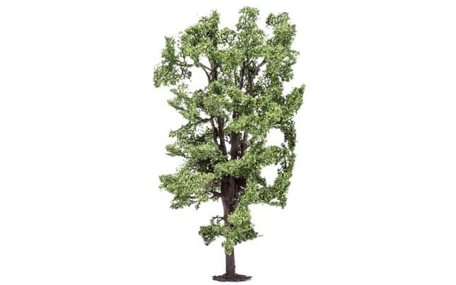 Horse-Chestnut Tree