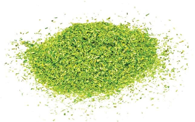 Scatter Light Green