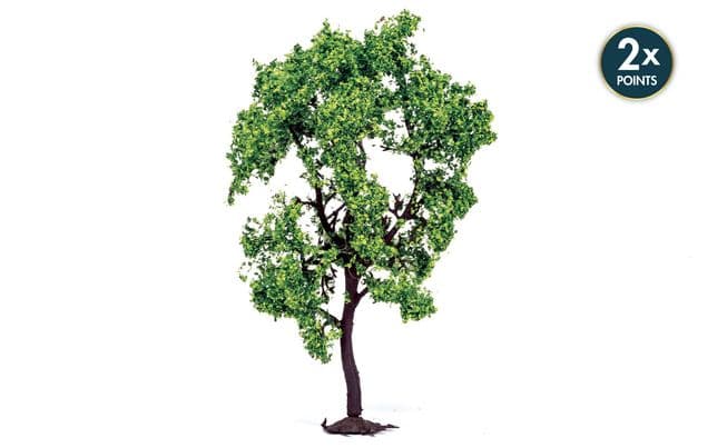 Pear Tree