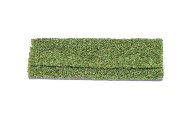 Foliage Wild Grass