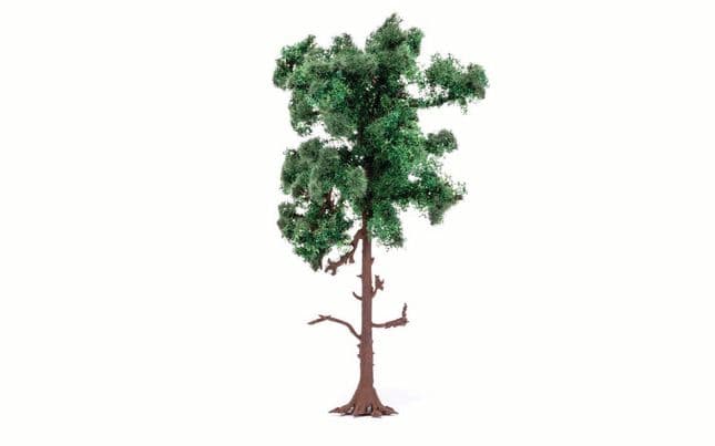Medium Pine Tree