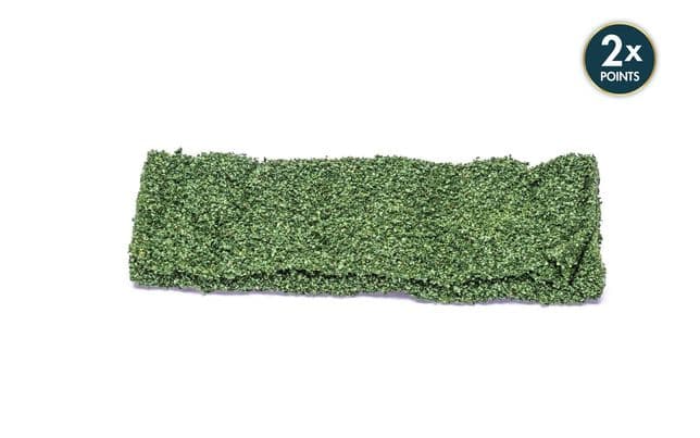 Foliage Leafy Dark Green