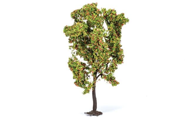 Rowan Tree
