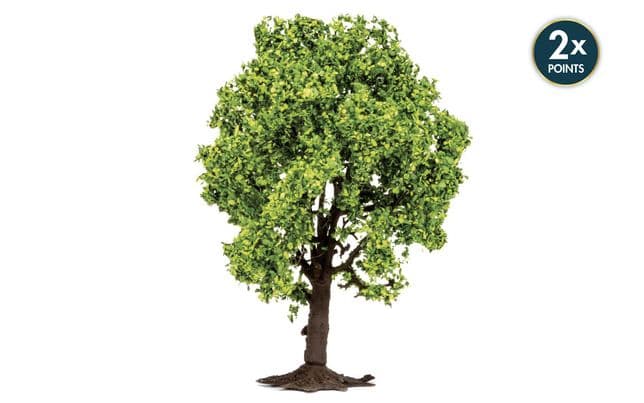 Fruit Tree