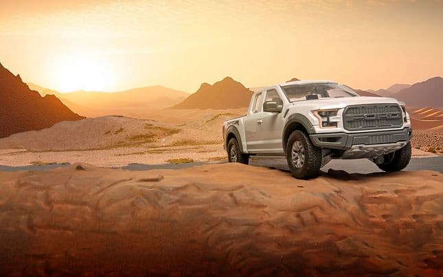 QUICKBUILD Ford F-150 Raptor - Grey