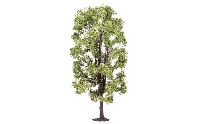 Lime Tree