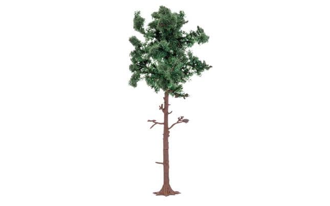 Large Pine Tree