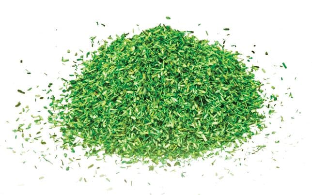 Scatter Medium