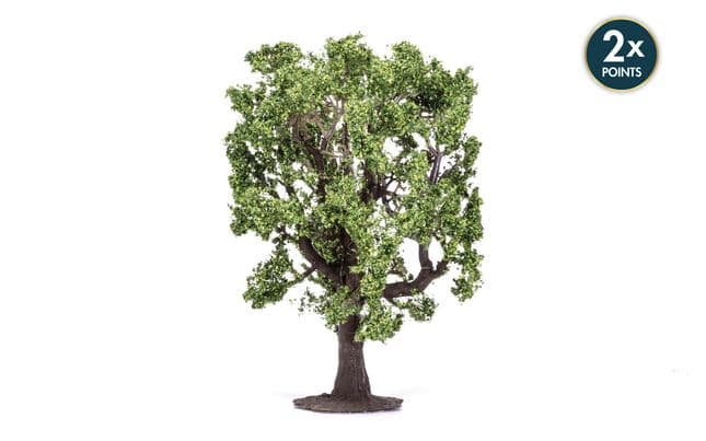 Oak Tree