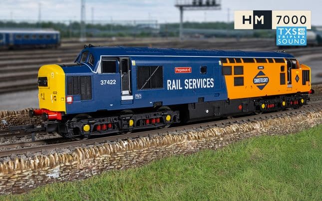 RailRoad: Rail Services - Class 37 - 'Pegasus' 37422 (DCC Sound Fitted)