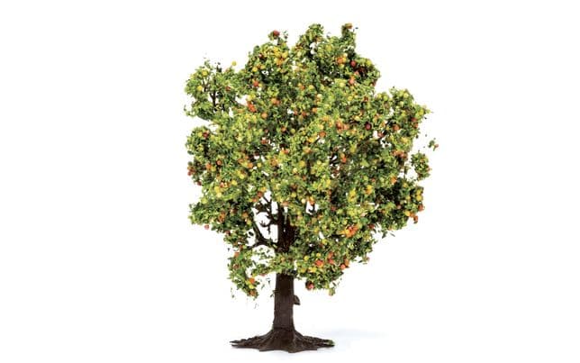 Apple Tree