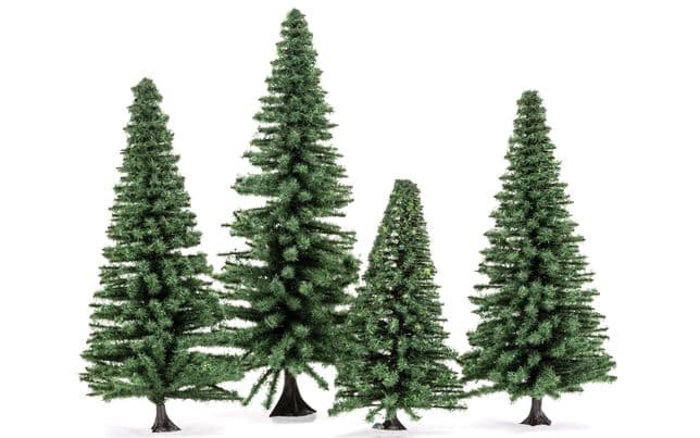 Large Fir Trees