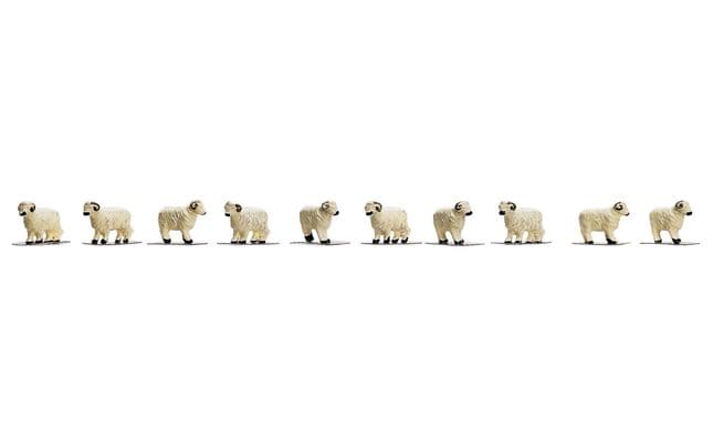 Sheep - Pack of 10