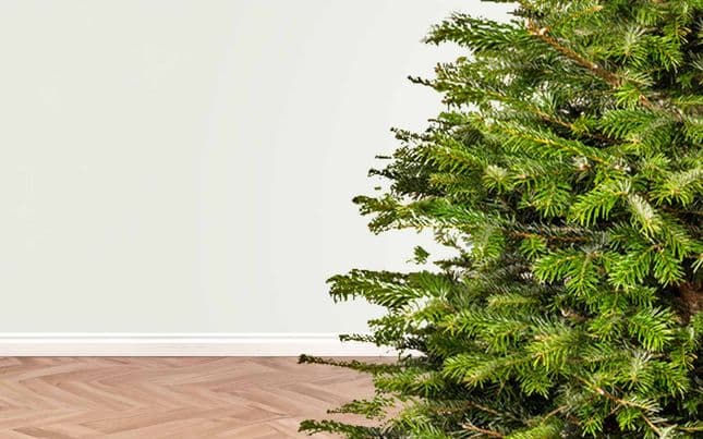 High Speed Train Set with Christmas tree