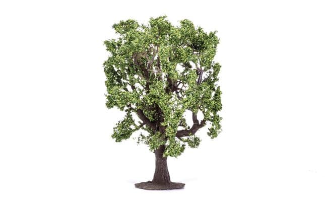Oak Tree