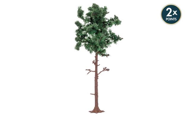 Large Pine Tree