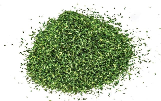 Scatter Dark Green